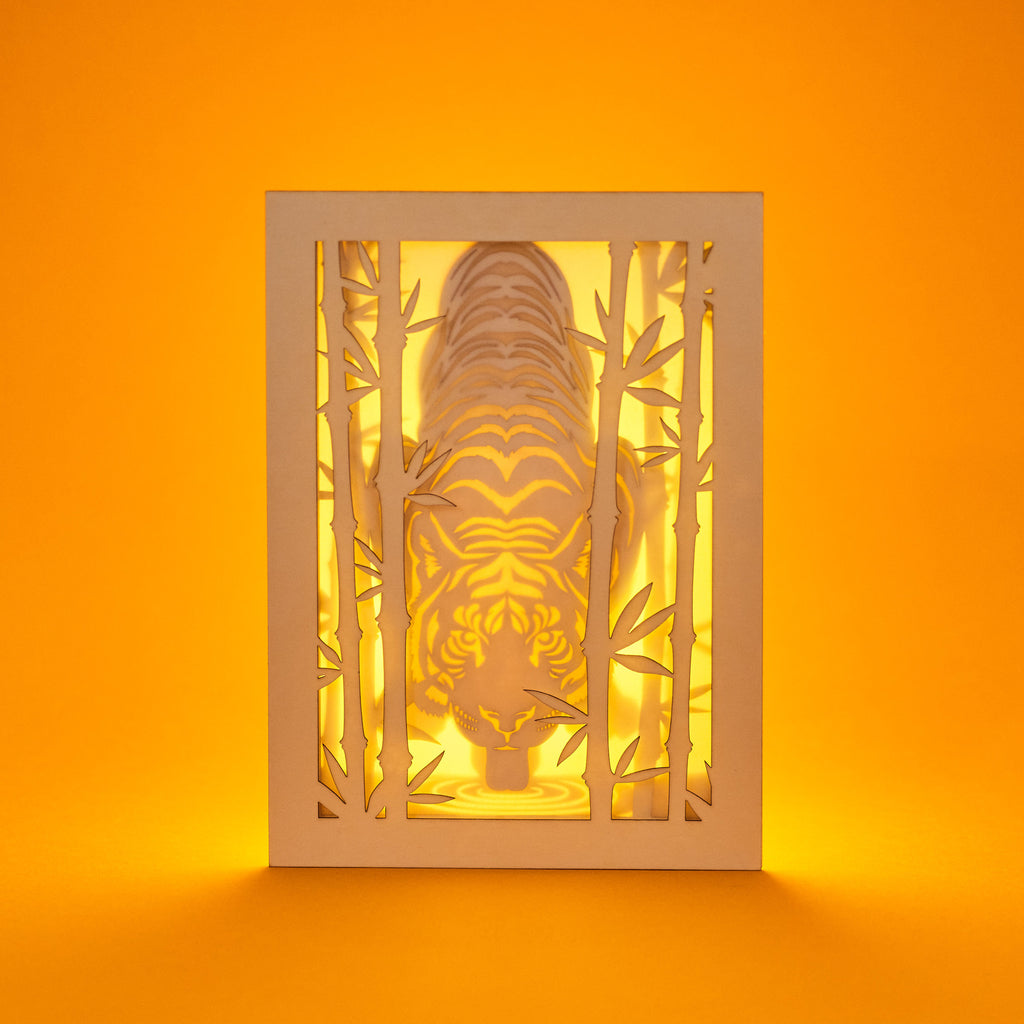 Elegant tiger drinking water among bamboo in forest