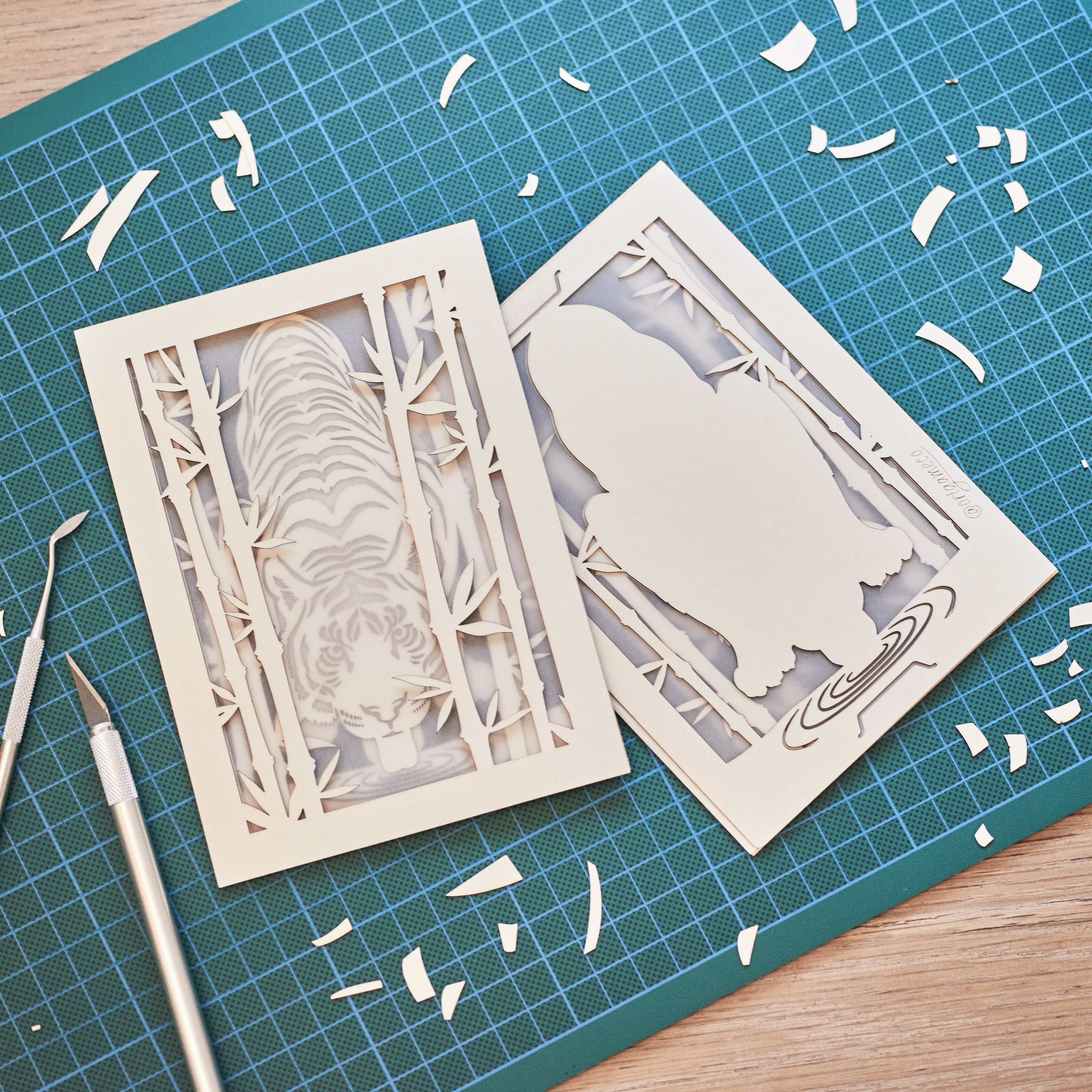 Elegant tiger drinking water among bamboo in forest