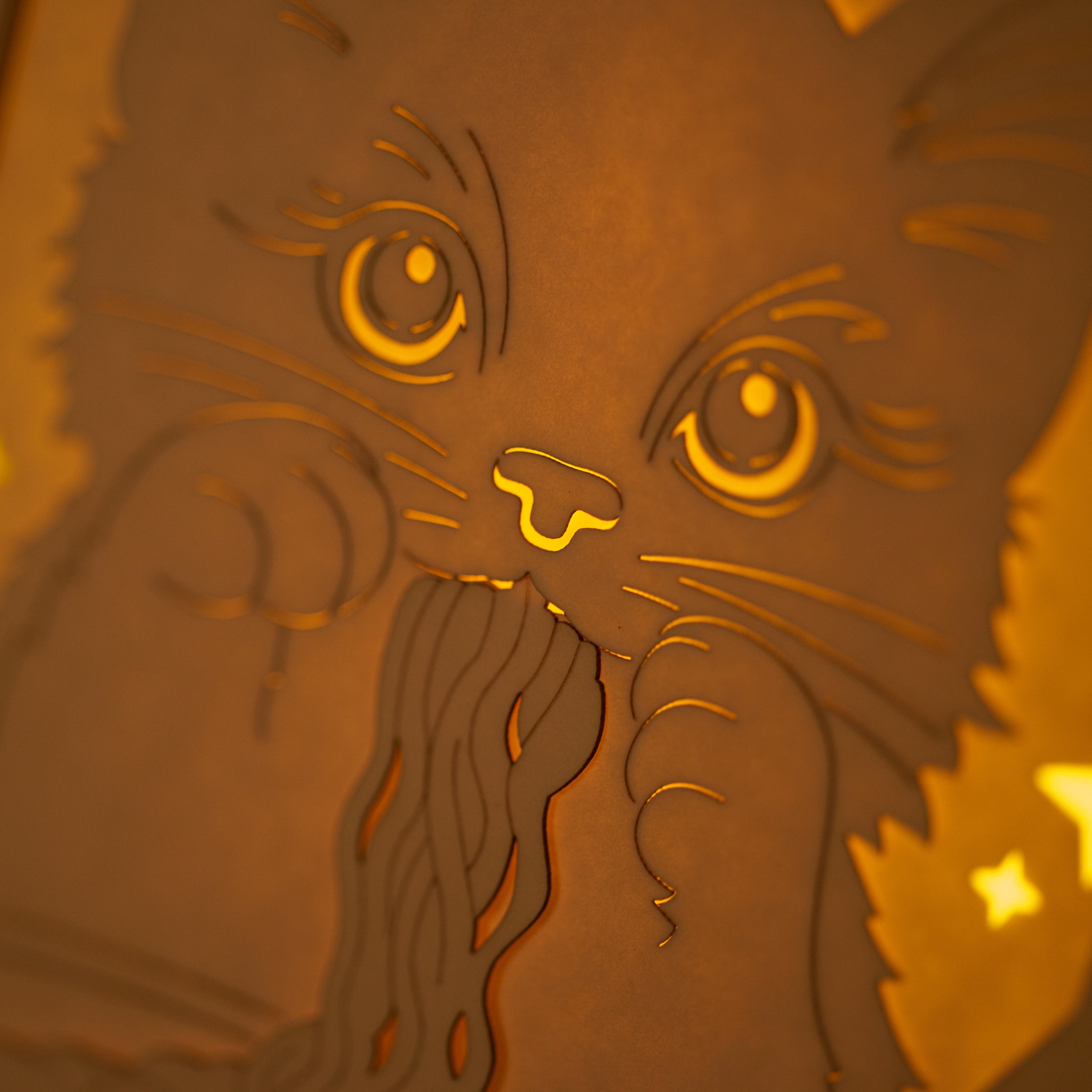 Adorable cat eating ramen noodles with chopsticks