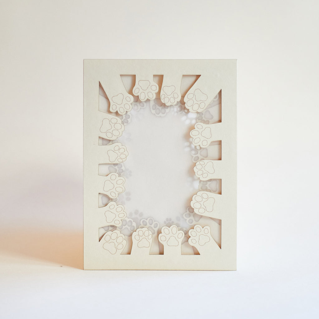 Circle of cat paws with plenty of space to add your wishes