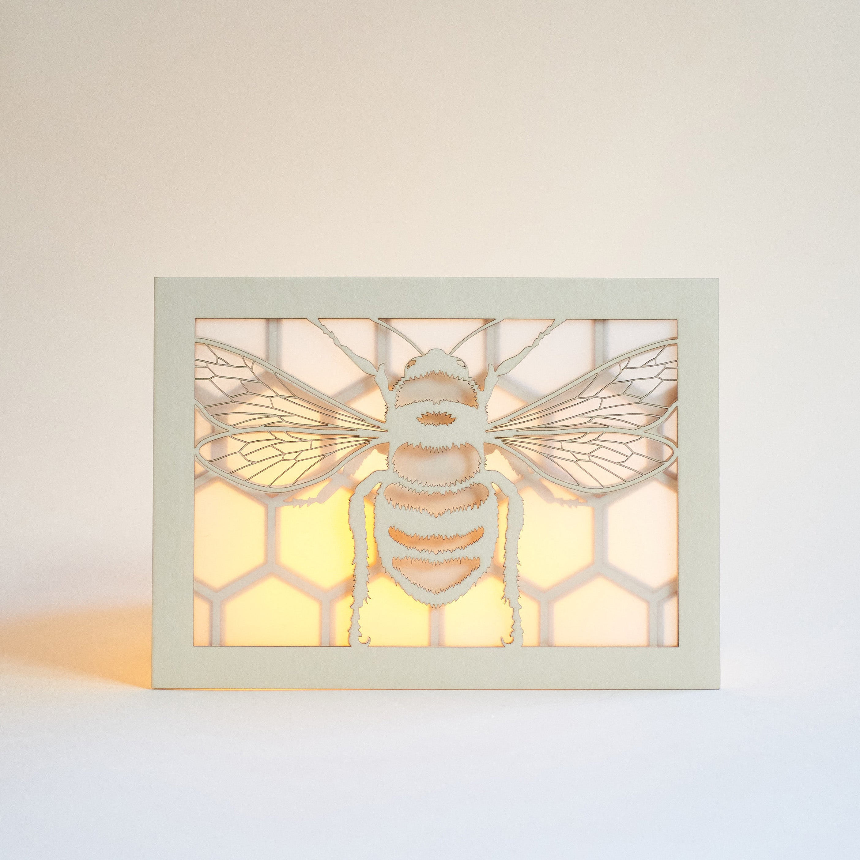 Realistic bee with delicate wings and honeycomb background