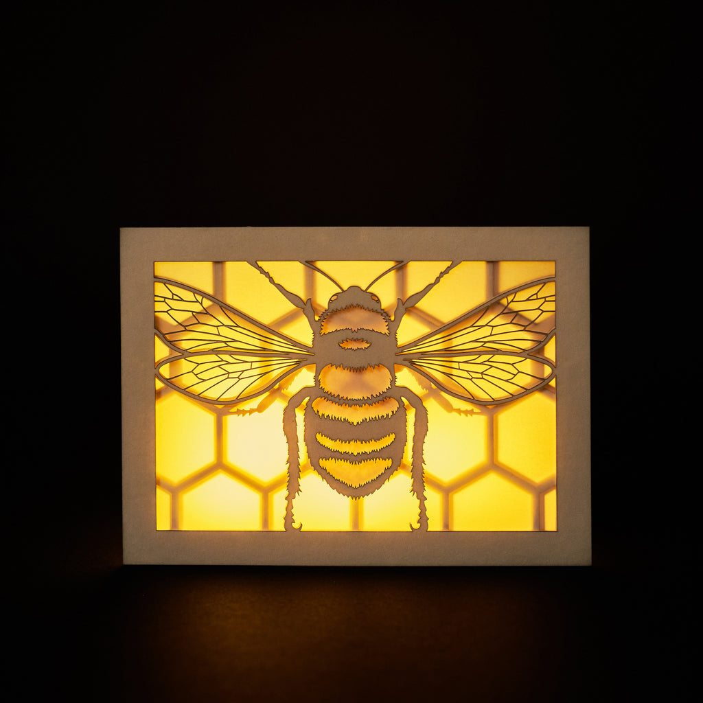 Realistic bee with delicate wings and honeycomb background