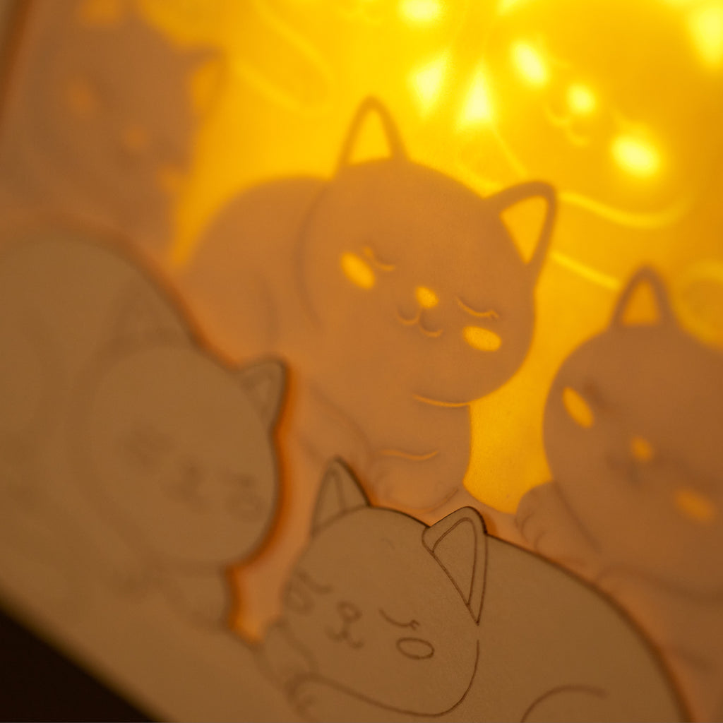 Cats basking on sunny windowsill with closed eyes and tails up