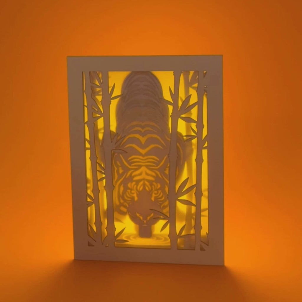 Elegant tiger drinking water among bamboo in forest